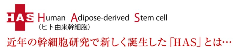 HAS���C�X�g���[�V�������T�C�g